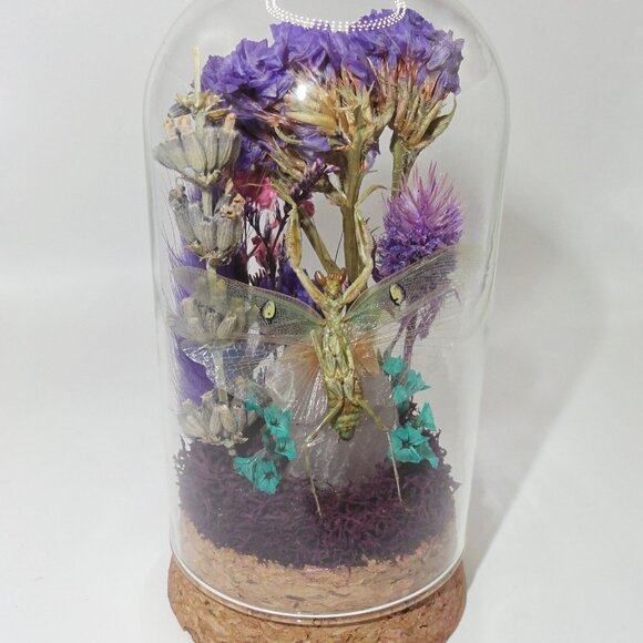 Praying Mantis Crystal & Flowers Oddity Jar insect taxidermy curiosity dome goth - Picture 1 of 15